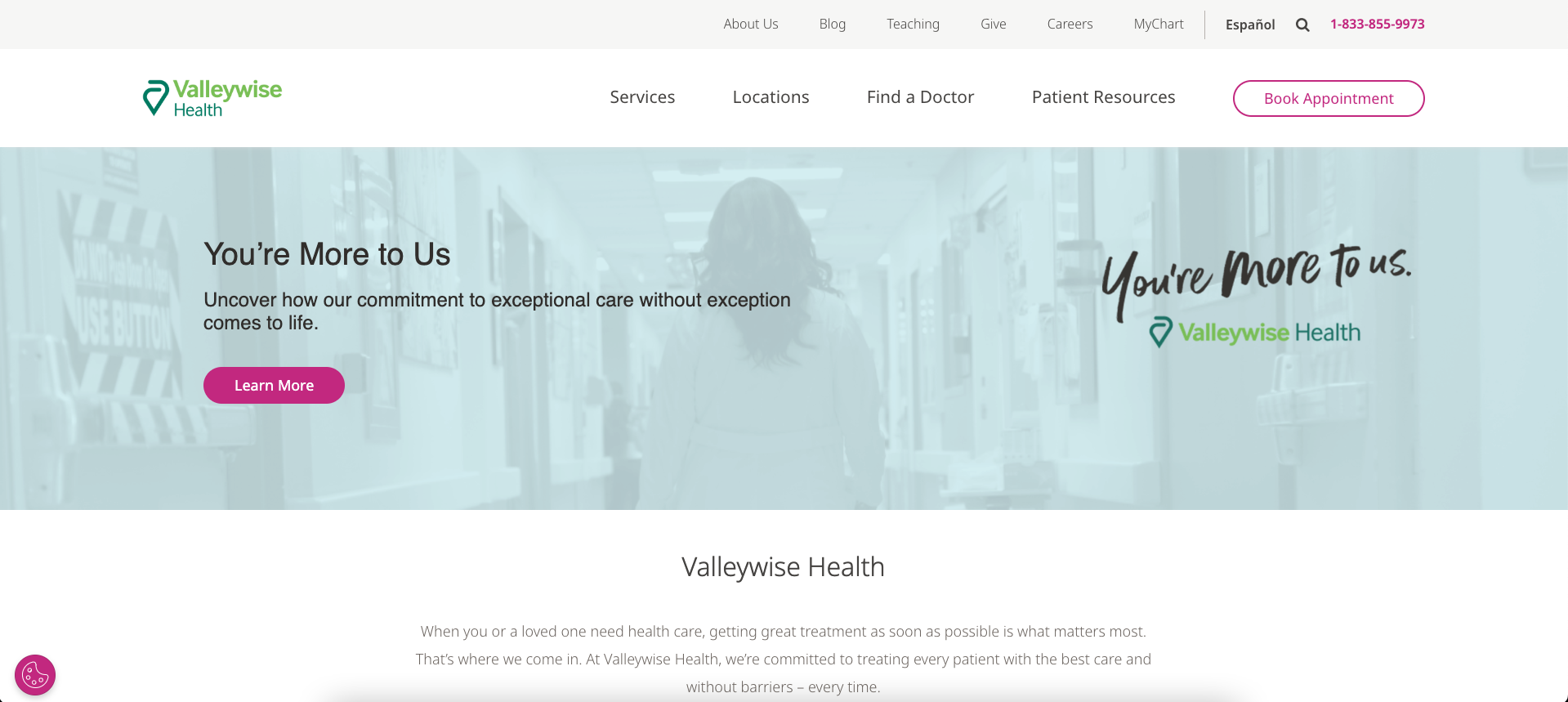 Valleywise Health